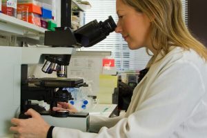 pharma-company-template-research